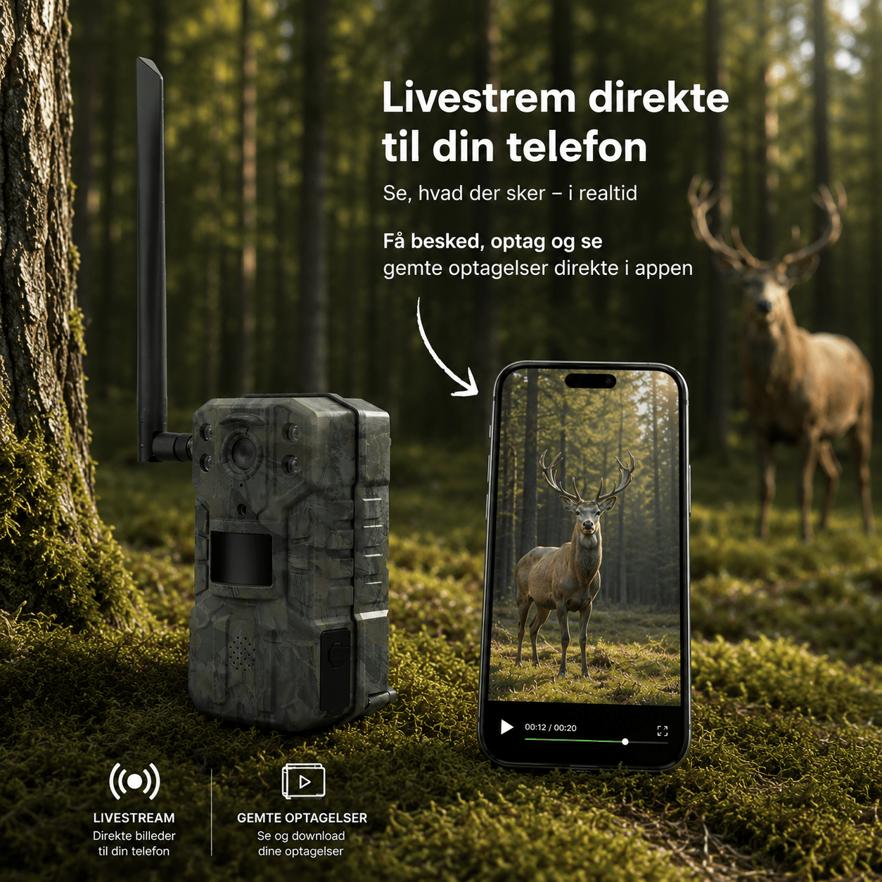 2K Vildtkamera med 4G LTE netværk, app og batteritid på op til 2 mdr